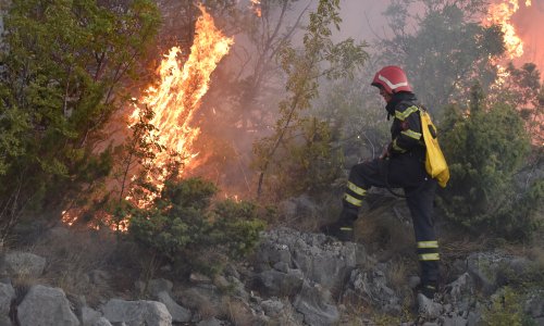 Usprkos jakom vjetru, brački vatrogasci uspjeli ugasiti požar iznad Supetra