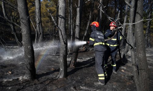 Lokaliziran požar kod Kaštela, izgorjelo šest hektara
