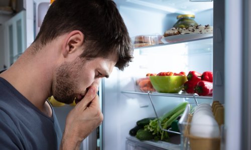 Kako se riješiti neugodnog mirisa iz hladnjaka