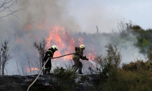 Povećan broj vatrogasnih intervencija u odnosu na prošlu godinu, pogledajte zašto