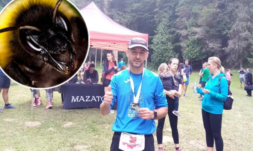 Drama na planini: Vukovarski policajac spasio ženu od roja stršljena