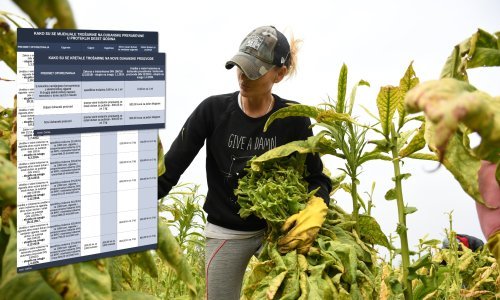 Istražili smo kako su se u proteklih deset godina kretale trošarine na duhanske proizvode