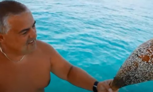 Poljaci čupaju periske kod Biograda i time se hvale na društvenim mrežama