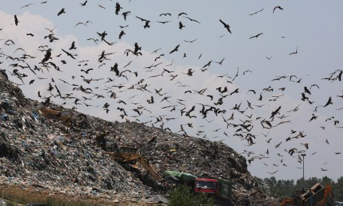 Sve je manje nade za indijsku djevojčicu na koju se srušila hrpa smeća