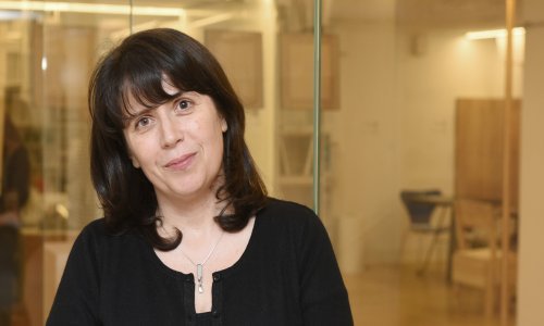 Predstavljena knjiga Tamare Bjažić Klarin 'Za novi, ljepši Zagreb!'