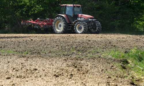 Oranice za po 12.000 kuna skuplje u primorju nego na kontinentu