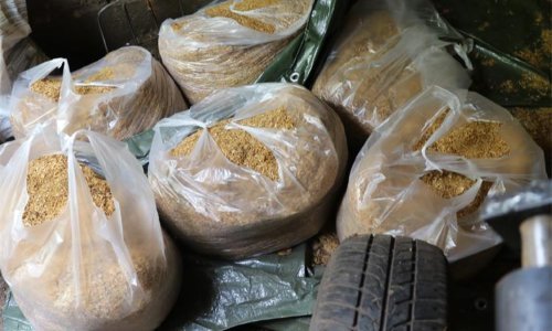 Policija kod Bjelovara u skrivenim prostorijama štaglja pronašla dvije i pol tone duhana