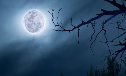 Retrogradni Merkur ometa razumijevanje i otežava početke, a 'plavi' Mjesec ne utječe ni na što