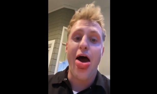 Napravio si sočni hamburger no užitak mu je pokvarila pčela