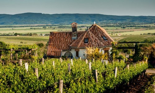 [FOTO] Sigurni smo da niste imali pojma da ovako nešto možete naći u Slavoniji - od luksuznih vila do kuća za robinzonski odmor