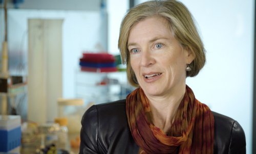 Nobel Francuskinji Charpentier i Amerikanki Doudni 'za popravljanje koda života'