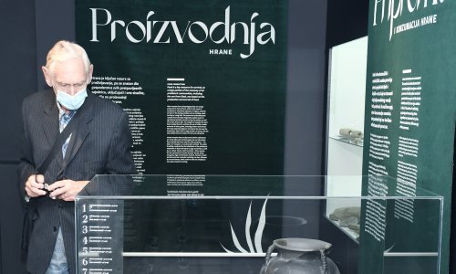 Otvorena izložba koja odgovara na pitanje kako se malo brončanodobno naselje preobrazilo u jedan od najvažnijih željeznodobnih središta
