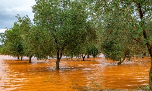 U Gorskom kotaru pao snijeg, u Istri obilna kiša stvorila brojne probleme