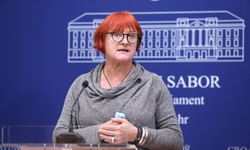Borić: O devastaciji Babine gore uskoro i u Saboru