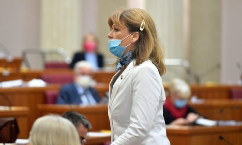 HNS: Vidović Krišto pokušava opravdati bezobzirni napad na policajce na Markovu trgu