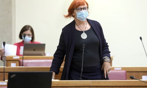 Zekanoviću problematično udomljavanje od strane istospolnih parova, Borić mu odgovorila da djeca žele da ih 'usvoji žirafa' umjesto da ostanu u domu