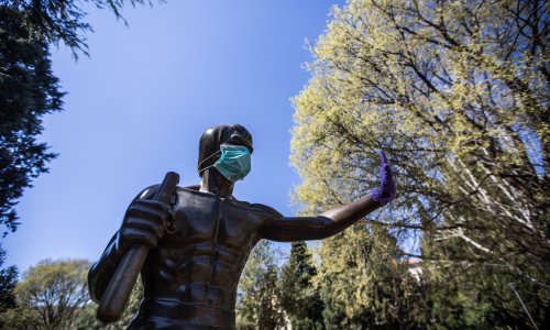 U BiH 540 novih slučajeva, 13 zaraženih umrlo