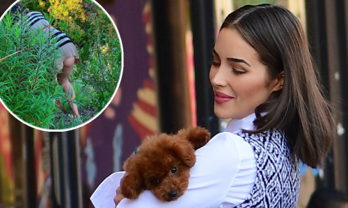 Ljepotica Olivia Culpo željela je izgledati slatko, ali zahvaljujući njenom krznenom ljubimcu izgleda jako vruće