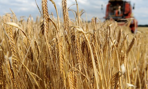 Strateške robne zalihe dovoljne su za 30 dana opskrbe građana