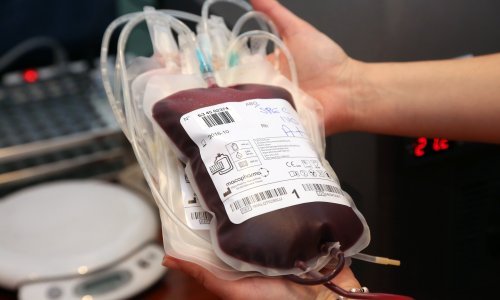 Predsjednik Milanović odlikovao 195 dobrovoljnih darivatelja krvi