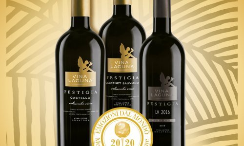 Vina Laguna osvojila tri zlata na prestižnom natjecanju u Italiji