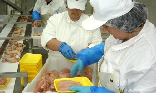 Iz trgovina se povlači piletina jednog domaćeg proizvođača