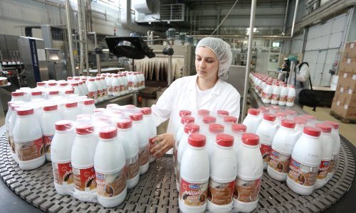 Dukat u prvih devet mjeseci s 9,1 milijun kuna neto dobiti