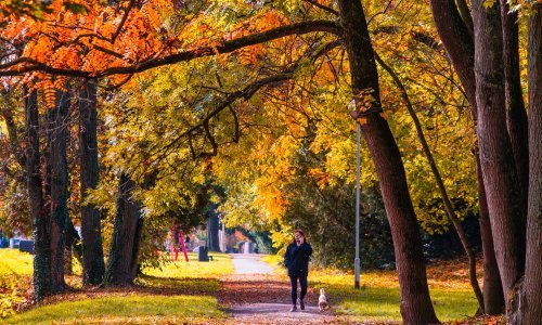 U većem dijelu unutrašnjosti djelomice, na Jadranu pretežno sunčano