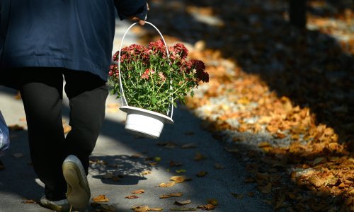 Provjerite kakvo vrijeme donosi blagdanska nedjelja