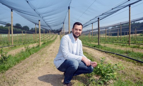 Dao otkaz u švicarskoj tvrtki i pokrenuo biznis s borovnicama u Kutini, a onda mu je na pamet pala još bolja ideja