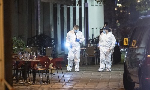 Savjetnik za deradikalizaciju zamijetio zloslutne znakove prije napada na Beč
