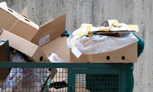 Oporavak prodaje britanskog vlasnika kompanije Belišće u drugom fiskalnom tromjesečju