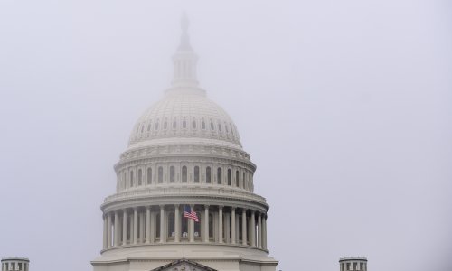 Izbori za Zastupnički dom: Demokrati će zadržati većinu i vjerojatno je povećati