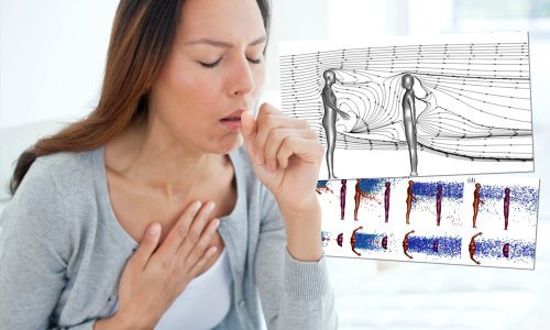 [INFOGRAFIKA] Kako se Covid-19 prenosi kašljem: U ovim uvjetima kapljice mogu putovati i više od šest metara