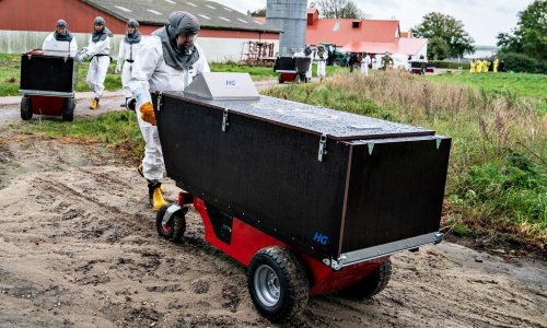 Danski ministar poljoprivrede odstupa zbog drastične odluke o usmrćivanju 17 milijuna kuna na farmama
