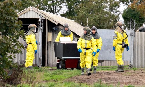 Prijatelji životinja: Ne ubijajte životinje zbog korone, zabranite njihov uzgoj