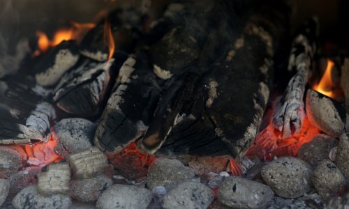 Grupa investicijskih tvrtki najavljuje sankcije kompanijama zbog ugljena