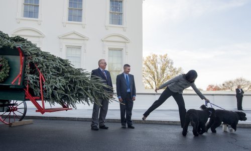Nakon četiri godine psi se vraćaju u Bijelu kuću