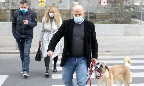 [VIDEO] Maras: Obnova škola po Bandićevom modelu - 'stavi skelu, a radova nema'