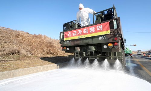 Južna Koreja potvrdila ptičju gripu u uzorcima divljih ptica, objavila upozorenje