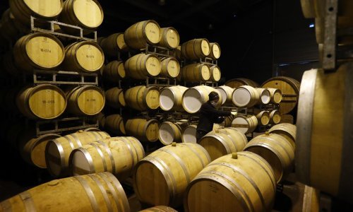 Francuska će ove godine proizvesti 44,7 milijuna hektolitara vina