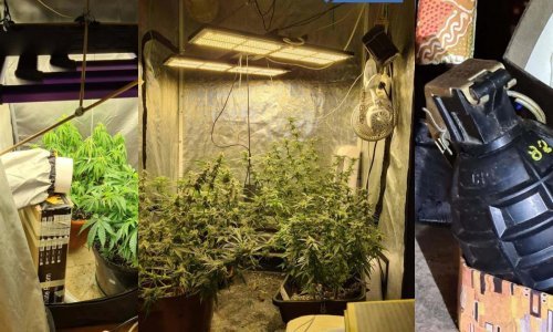 Muškarac u Puli u stanu uzgajao marihuanu, a policija mu je pronašla i hašiš, metadone, bombu...