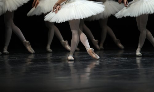 Zbog koronavirusa odgođeno 'Labuđe jezero'