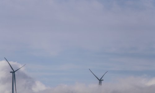 Kako financirati zeleni plan? U Europskom parlamentu žele da se poštuje samo jedno načelo: Ne nanositi bitnu štetu