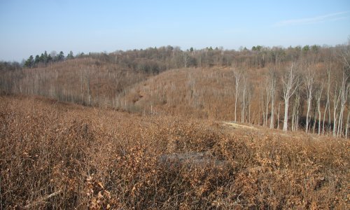 Ekološki aktivisti USKOK-u prijavili aktualnu karlovačku županicu i tri njezina prethodnika