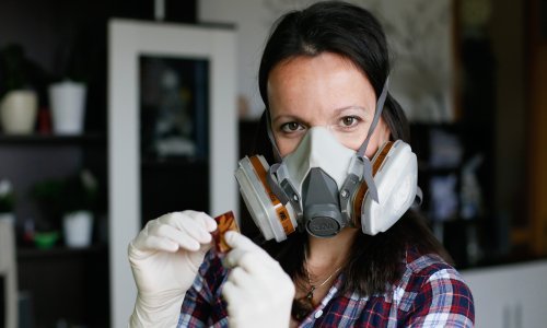 [FOTO/VIDEO] Profesorica biologije otkrila kako zaustaviti prirodu u vremenu: Upoznajte Ivanu Lozić, koja je dala otkaz i sada izrađuje unikatan nakit