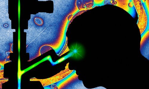 Znanstvenici usporedili neuronske i kozmičke mreže pa zaključili: Ljudski mozak izgleda poput svemira