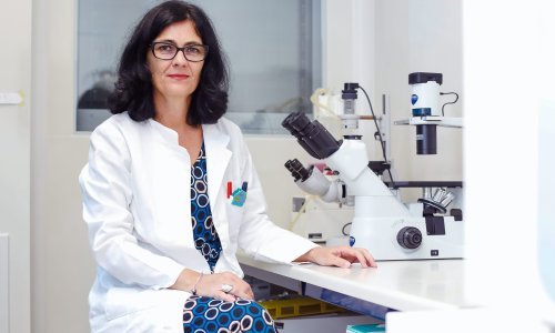 Članica Vladinog Znanstvenog savjeta: Kasnimo s mjerama, izgubili smo kontrolu