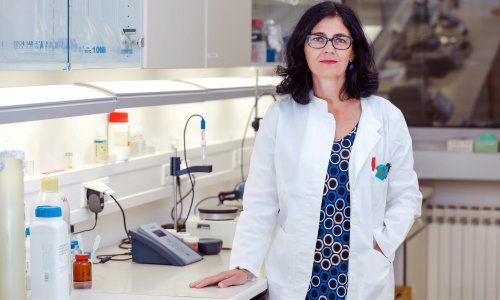 Ambriović Ristov: Jučer me nazvao gospodin Frka-Petešić i rekao da premijer zahvaljuje na suradnji koja više nema smisla