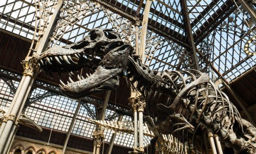 Klimatske promjene nisu bile pogubne za dinosaure jednom nego dvaput